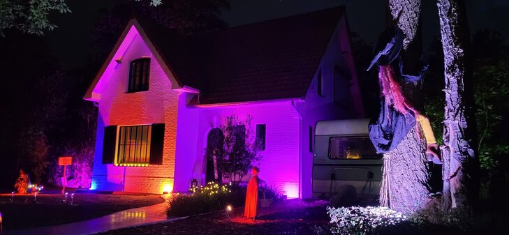 Ontspanning Lichtfeeten Reet