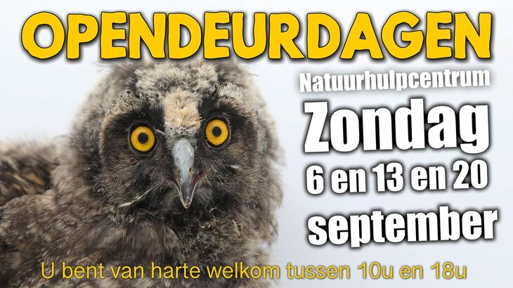 Ontspanning Opendeurdagen Natuurhulpcentrum 1