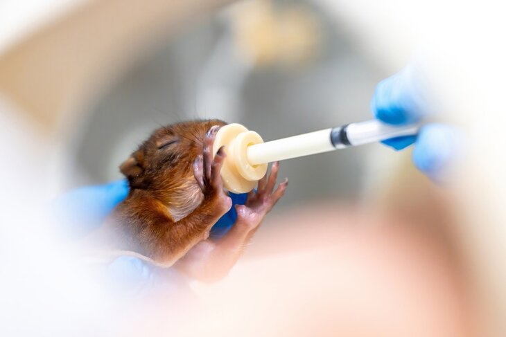 Ontspanning Opendeurdagen Natuurhulpcentrum 2