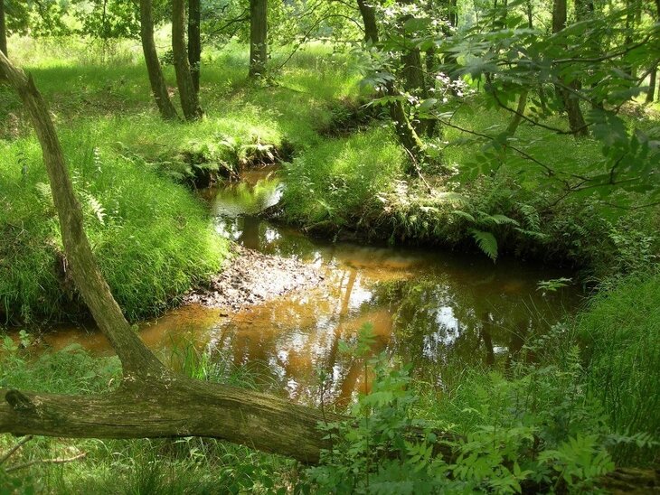 Ontspanning Ademtocht: Even uit drukte