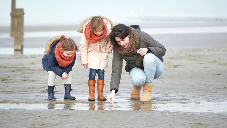 Ontspanning Promenade la plage des coquillages - stap de gids - fr