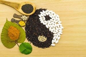 Workshops Infomoment opleidingen Acupunctuur, Needling, Na, voeding, fytotherapie