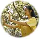 Workshops Therapeutische Qigong - daagse cursus