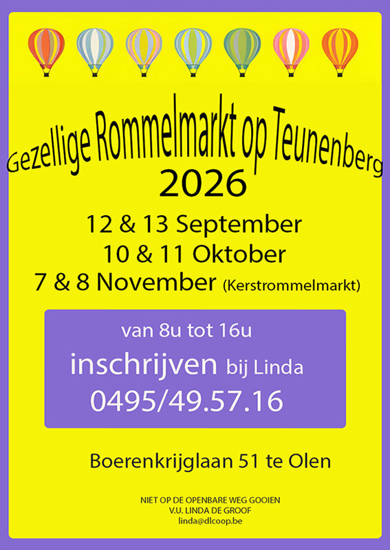 Gezellige rommelmarkt Teunenberg