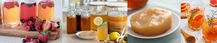 Workshops Kombucha 1.0