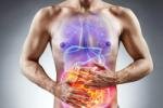 Voordrachten Van maag microbiota: gezonde basis voor meer welzijn