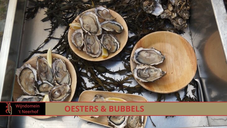 Ontspanning Oesters & Bubbels Day