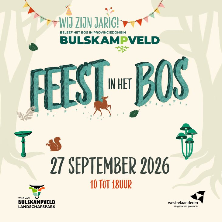Ontspanning Feest het bos