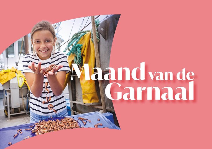 Workshops Garnaalpelsessie