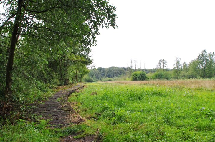 Ontspanning De zeldzame schoonheid de beekvallei tussen zomer herfst