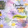 Ontspanning Opendeur-weekend, tuinplanten-kwekerij Spruyt