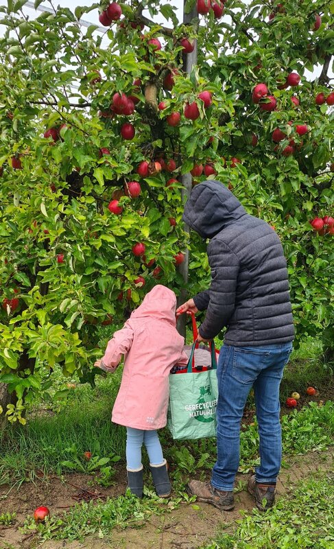 Ontspanning Biologische appels zelfpluk de boomgaard