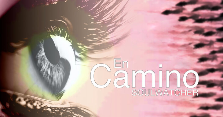 Tentoonstellingen En Camino