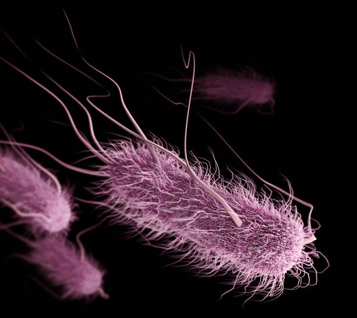 Voordrachten Vernissage The Bacteria