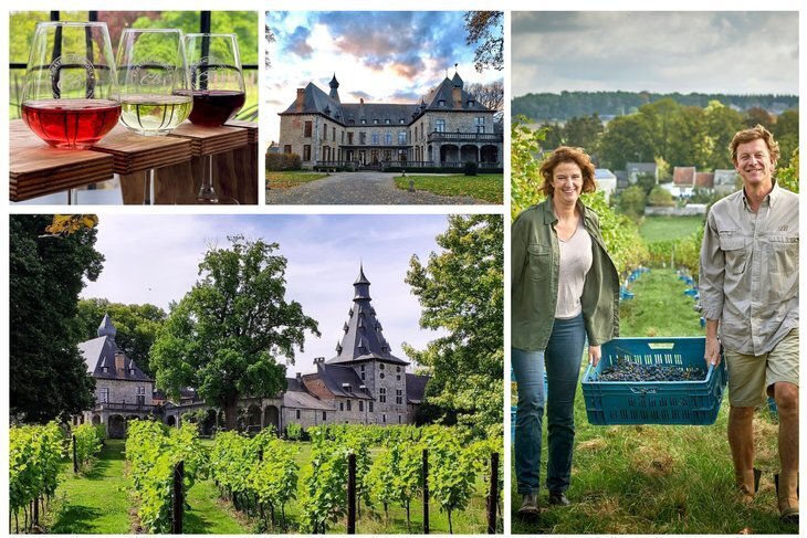 Ontspanning Een schilderachtige wandeling door hart Château Bioul de wijngaard