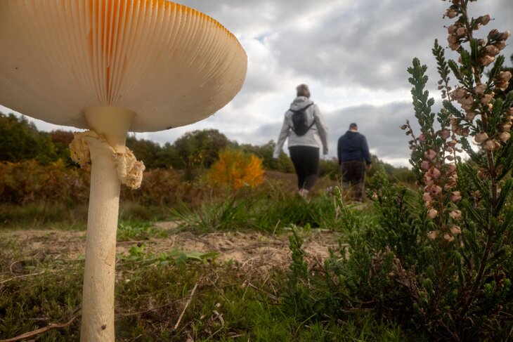 Ontspanning MaasMagische Herfstdagen - wondere wereld onder onze voeten