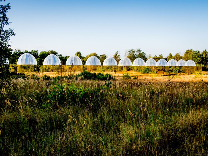 Ontspanning MaasMagische Herfstdagen - Ecotron achter schermen