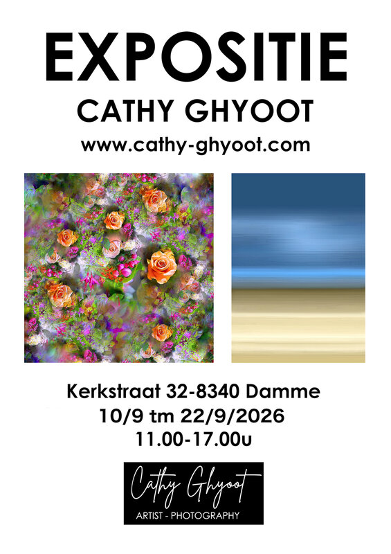 Tentoonstellingen Expositie Cathy Ghyoot Kunstgalerij Hondsdamme