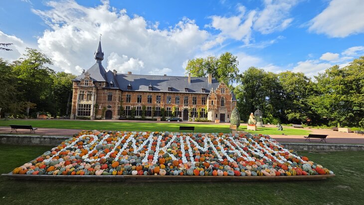 Ontspanning Pumpkimania