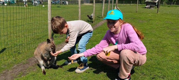 Ontspanning Alpaca Farm boerderijbezoek