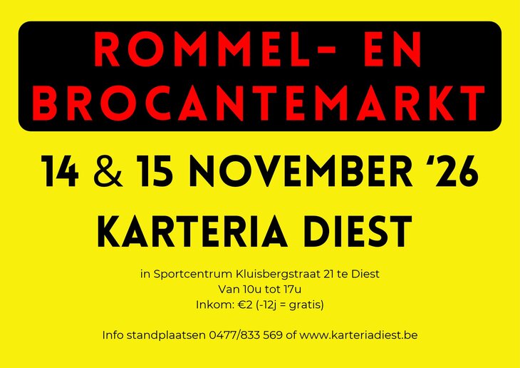  Grote daagse rommel brocantemarkt