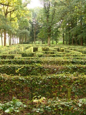 Ontspanning Beleef authentiek doolhof - natuurlijke escape space