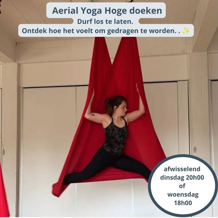 Workshops Aerial Yoga - Hoge doeken