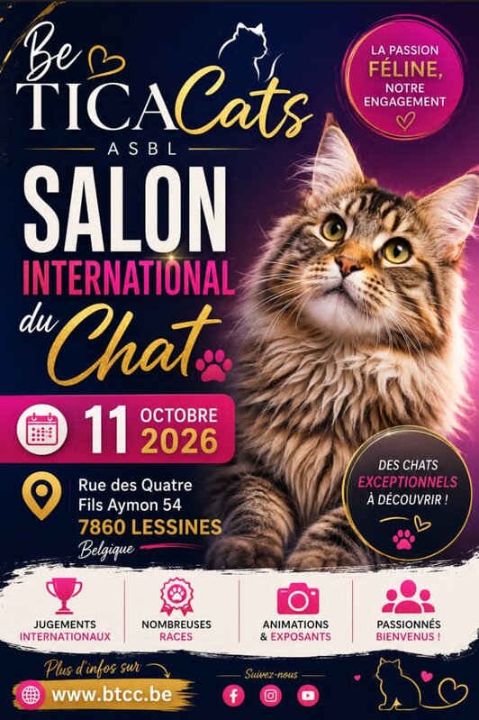 Ontspanning Internationale Kattenshow - Lessen 2026