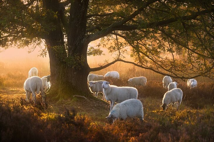 Ontspanning Het Hoogland Zoniën Een nieuwe start