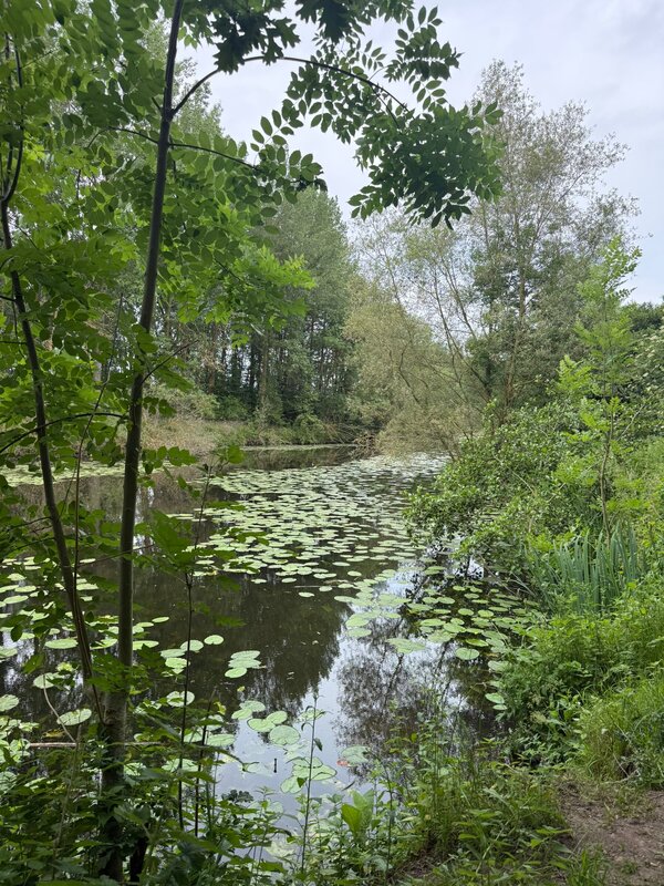 Ontspanning Parels voor Zwijnen - wandeling