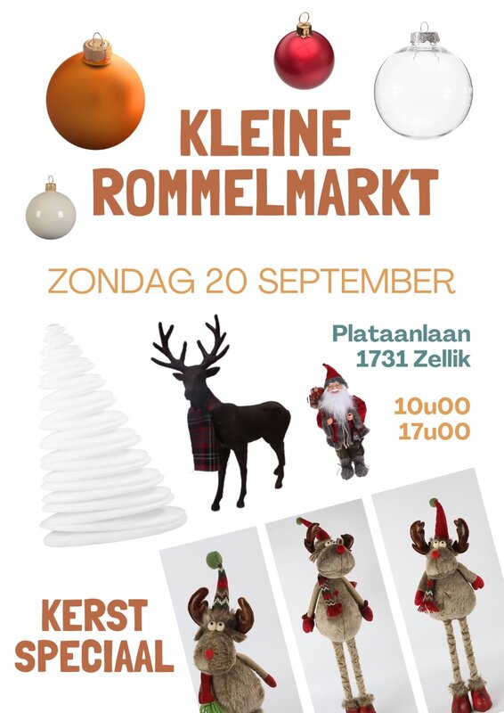  ????✨Kerst-Rommelmarkt Zellik! ????