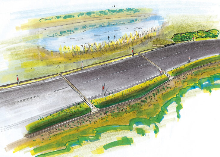 Ontspanning De amfibieëntunnels Tervuren