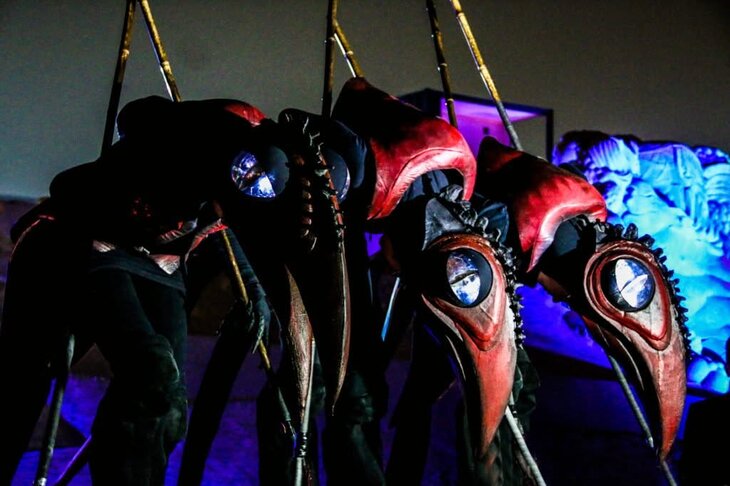 Ontspanning Halloween Griezeltocht Lebbeke