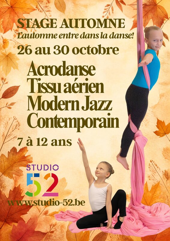 Workshops Dansstage verschillende dansstijlen, acrobatiek luchtdoek