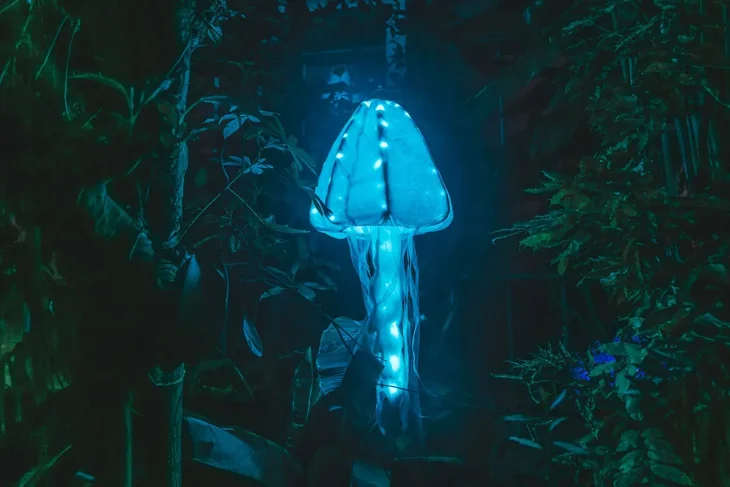 Voorstellingen Floridylle - Wondere Waterwereld (lichtfestival)