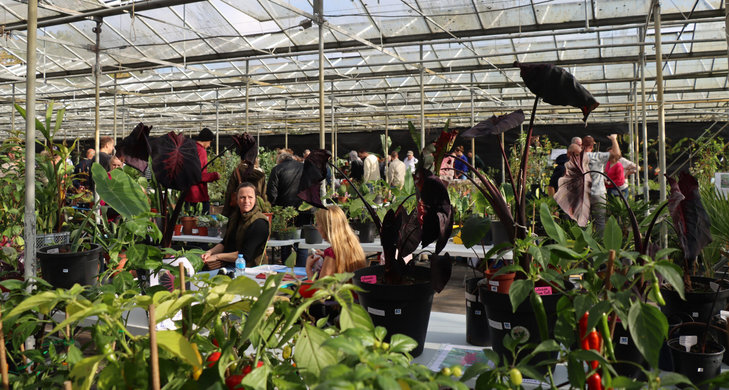 Ontspanning Najaarsbeurs Exotische Planten