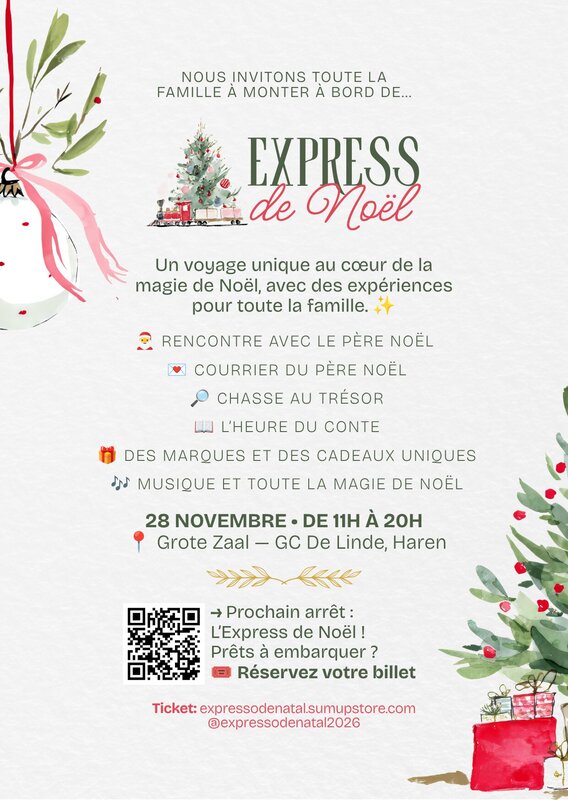 Kerstmarkten ???? Kerstexpress: dag Braziliaanse sfeer kerstmagie Brussel