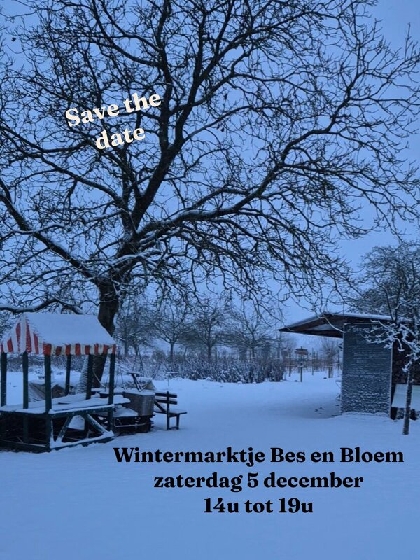 Ontspanning Wintermarktje en Bloem