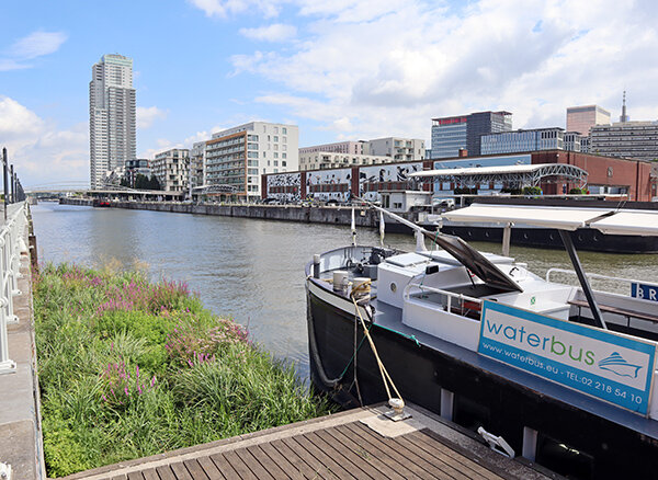 Ontspanning Boottocht het kanaal: ecologische corridor het hart