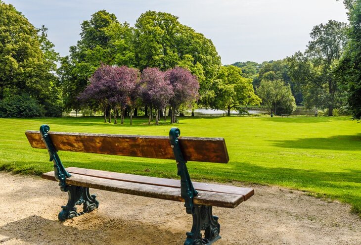 Ontspanning Van rietstengels naar kastelen, dartelend langs Woluwe