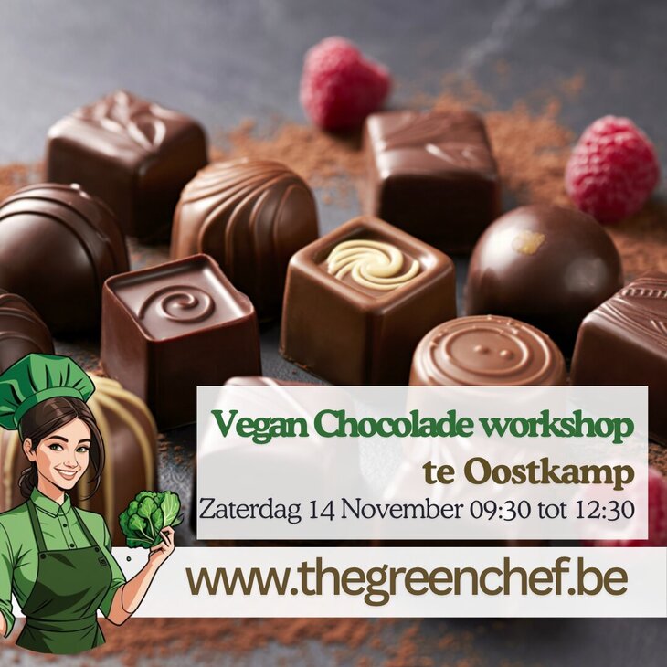 Workshops Vegan & Glutenvrije Chocolade workshop