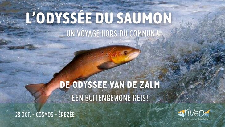 Ontspanning De reis de zalm natuuractiviteit CoSMos