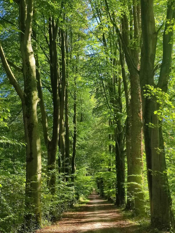 Ontspanning Vaalbeek, dorp de schaduw het Natuurpark de Brabantse Wouden