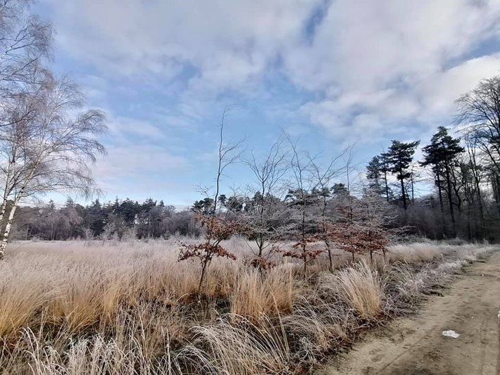 Ontspanning Goede Voornemenstocht - startplaats Hertsberge
