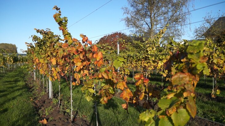 Ontspanning Herfstwandeling aansluitend spaghettimaaltijd