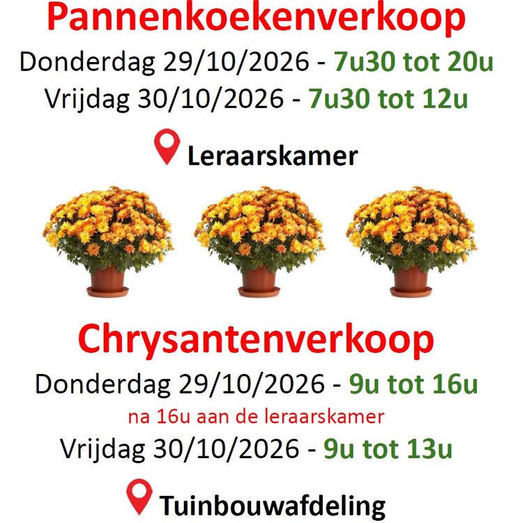 Ontspanning Herfstplantenverkoop: chrysanten, grafstukken, planten pannenkoeken