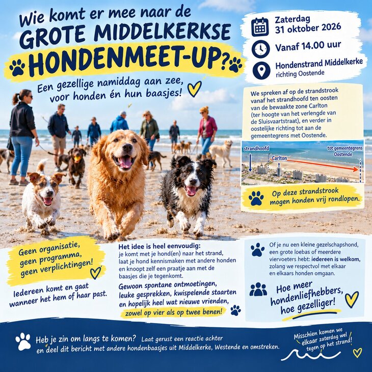 Ontspanning Grote Middelkerkse Hondenmeet-up