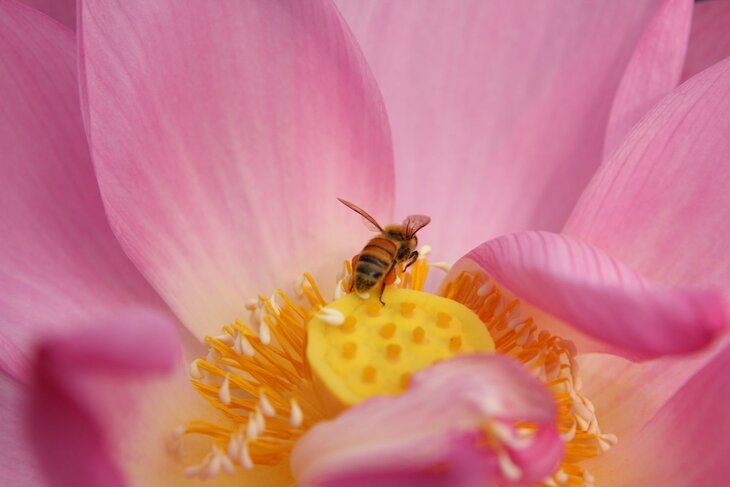 Workshops Cursus Essentiële Meditatie Storms