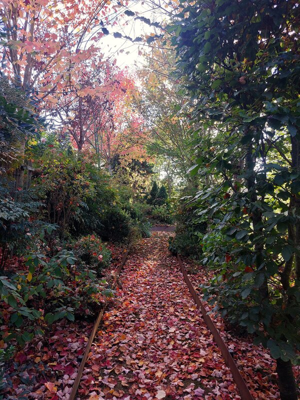 Ontspanning Een wandeling door Jardin Clé Temps