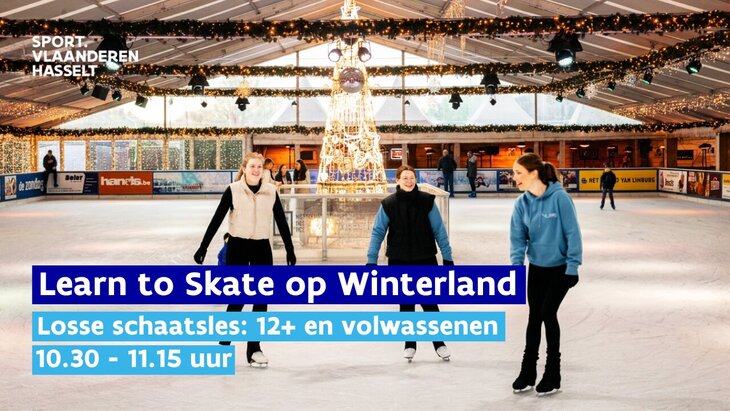 Workshops Learn Skate: Winterland - losse groepsschaatslessen - en volwassenen
